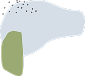 demo-attachment-169-grey-green-group-2